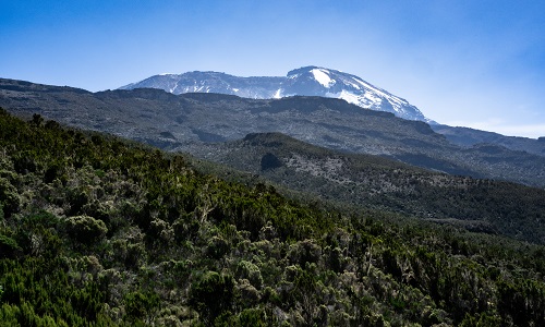 best 4-day kilimanjaro hiking via marangu